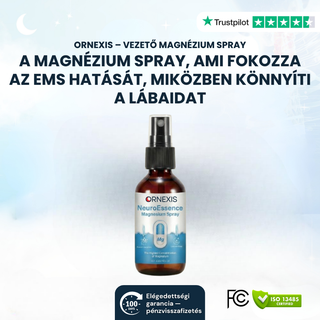 SPRAY AL MAGNESIO CONDUTTIVO EMS